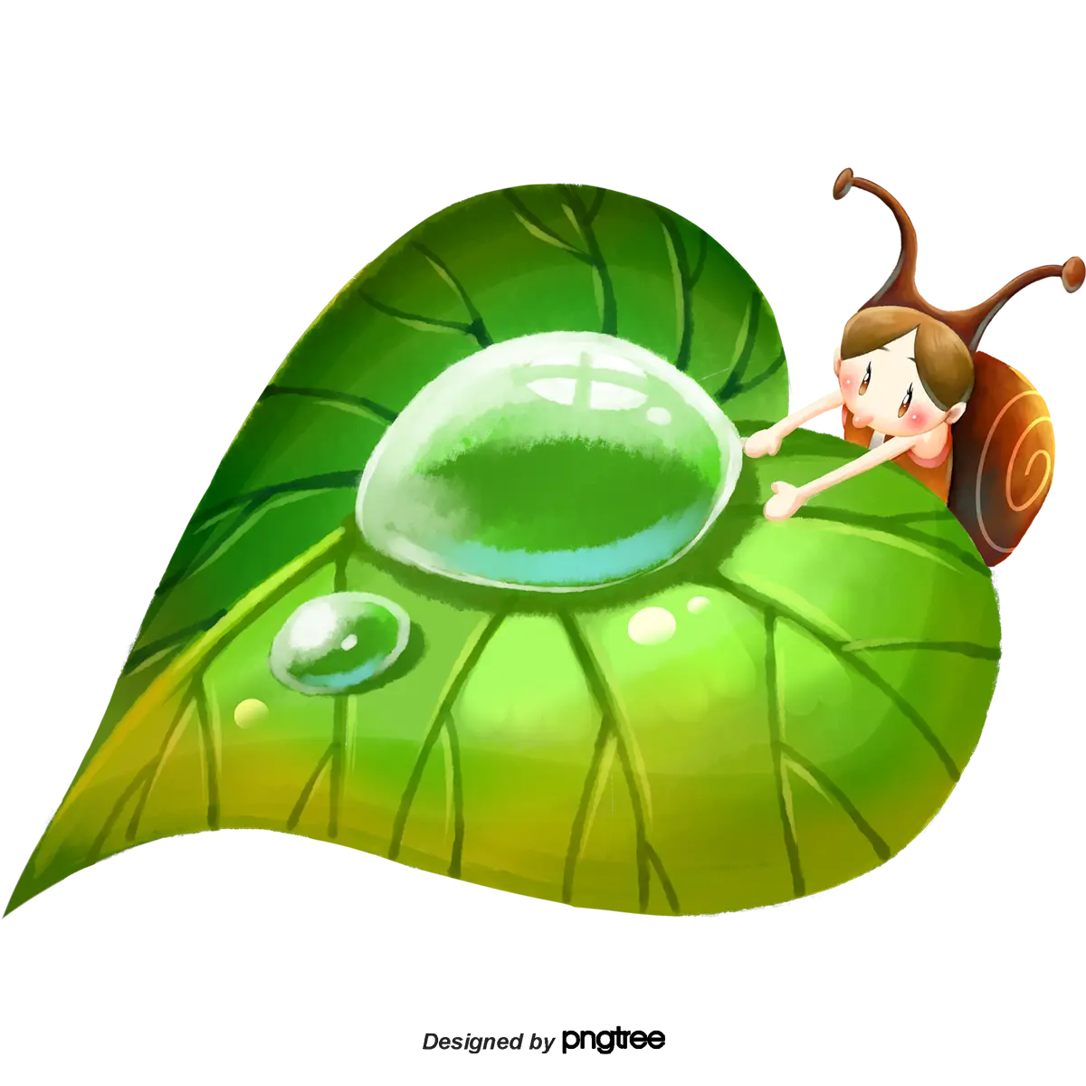 leaf picture